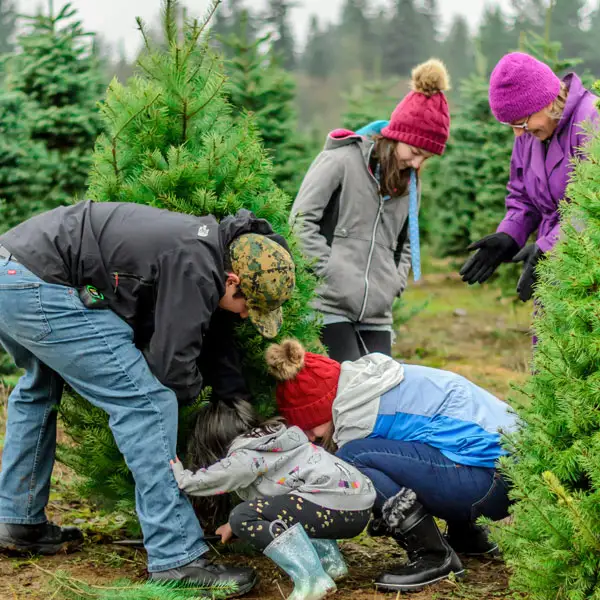 Menuiserie Ronaldo Communaute Locale